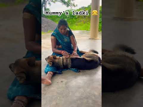 Mamma, trying to wake up Dimpy ￼