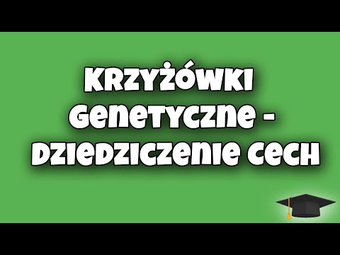 Krzyżówki Genetyczne - Dziedziczenie Cech | Biologia klasa 8