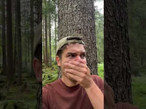 Der Wald des Todes - Kurzfilm/Horror