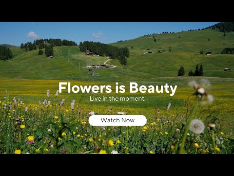 "Spring's Splendid Colors - 4K Nature Relaxation Film with Soothing Piano Music"