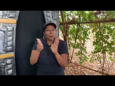 Sign1News anchor Candace Jones reports live from #SixFlagsOverGeorgia #frightfestfood Scare Zone