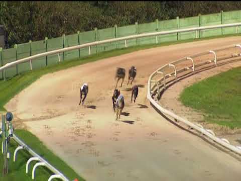 NOTTINGHAM 8.16 24 OCT 2017 - T2 HEROIC MISS