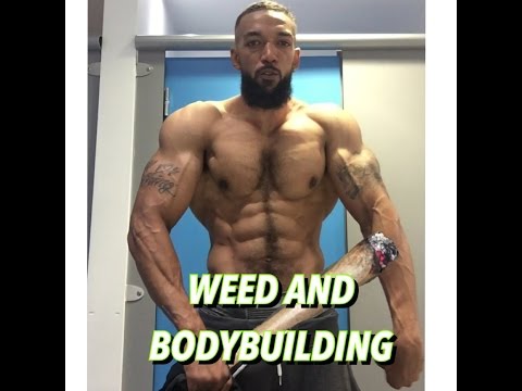 Weed And Bodybuilding (Can Smoking Weed Slow Down Muscle Gains?)
