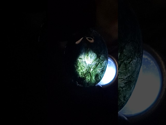 حجر عقيق طحلبي طبيعي أخضر تكوين رائع