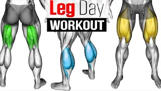 Full LEG Muscle Transformation 8 Best Exercises