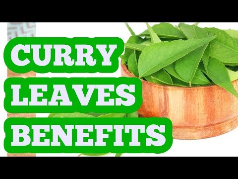 download lagu mp3 mp4 Curry Leaves Images, download lagu Curry Leaves Images gratis, unduh video klip Curry Leaves Images