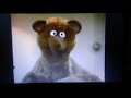Sesame Street Grin And Bear It