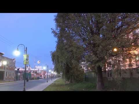 Hermoso coro de Urracas cholultecas.