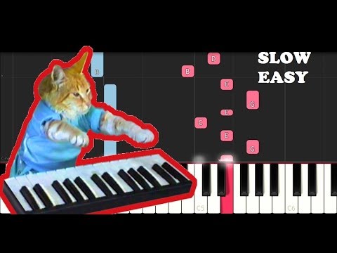 YouTube video about: How to play keyboard cat on piano?