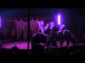 Cyrk Wictoria - pokaz koni