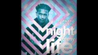 Night Of My Life (DJ Pauly d Mix)