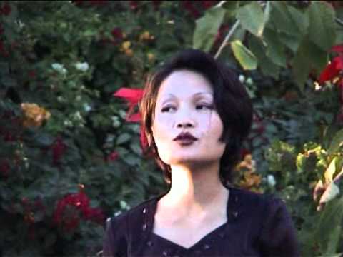 K Vanlallawmi - Damna Kraws