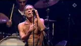 Iggy &amp; The Stooges - Little Doll (Lowlands 2006)