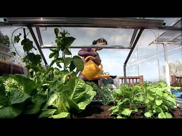 Vidéo teaser pour Raised Garden Bed - Palram Plant Inn