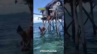 Download lagu समुद्र में रहने वाले ये लोग कभी जमीन पर नहीं आते | bajao tribe | #bajau #tribe mp3