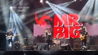 Download lagu MR. BIG - Colorado Bulldog - Live in Jakarta, 12 August 2023 - the Big Finish Tour. mp3 Download lagu MR. BIG - Colorado Bulldog - Live in Jakarta, 12 August 2023 - the Big Finish Tour. mp3