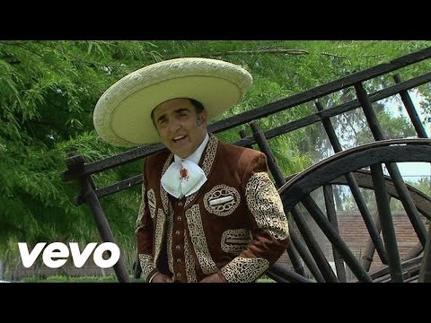 Vicente Fernández Hijo - Sin Papeles