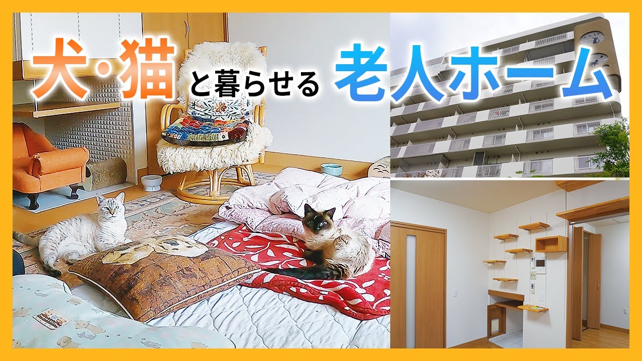 【ペット共生型】高齢になっても犬と一緒に暮らせる老人ホーム｜施設長インタビュー