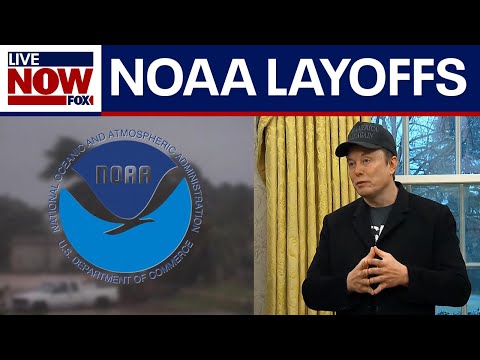 Video | Hundreds of weather forecasters fired amid DOGE cuts  | LiveNOW from FOX