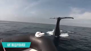 Бывает Же Такое! 15 Шокирующих Моментов Снятых На Камеру