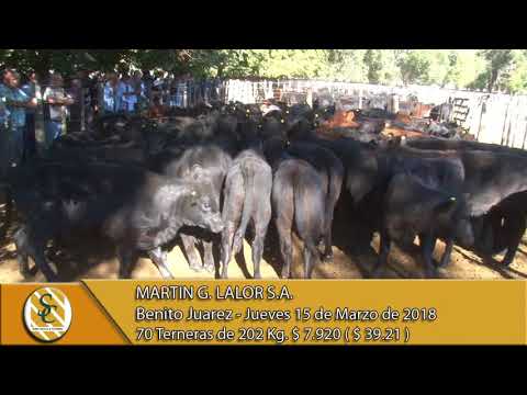 15-03-18 Venta de Hembras - Martin G. Lalor S.A. - Benito Juarez.