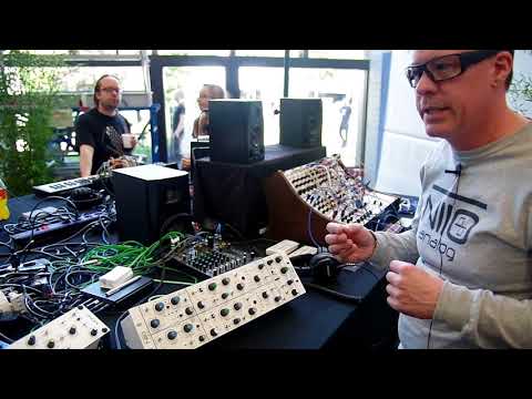 NIIO Analog Audio Processors