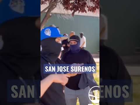 SAN JOSE SURENO TAKEOVER #sanjose #surenos #bayrecon #leftygunplay #chitoranas