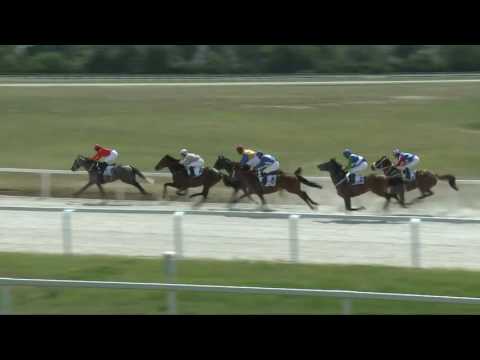 2017.06.18. 2. futam - GUTAI JÁNOS EMLÉKVERSENY (II.kat.) (szintetikus pálya)