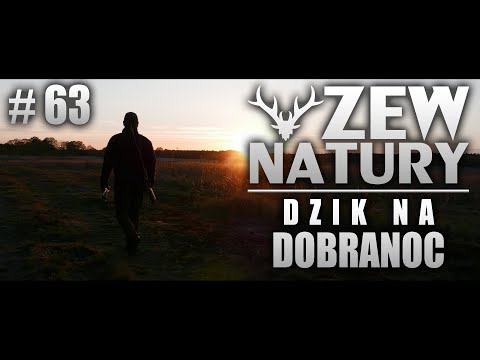 Call of Nature #63 - Boar for Goodnight