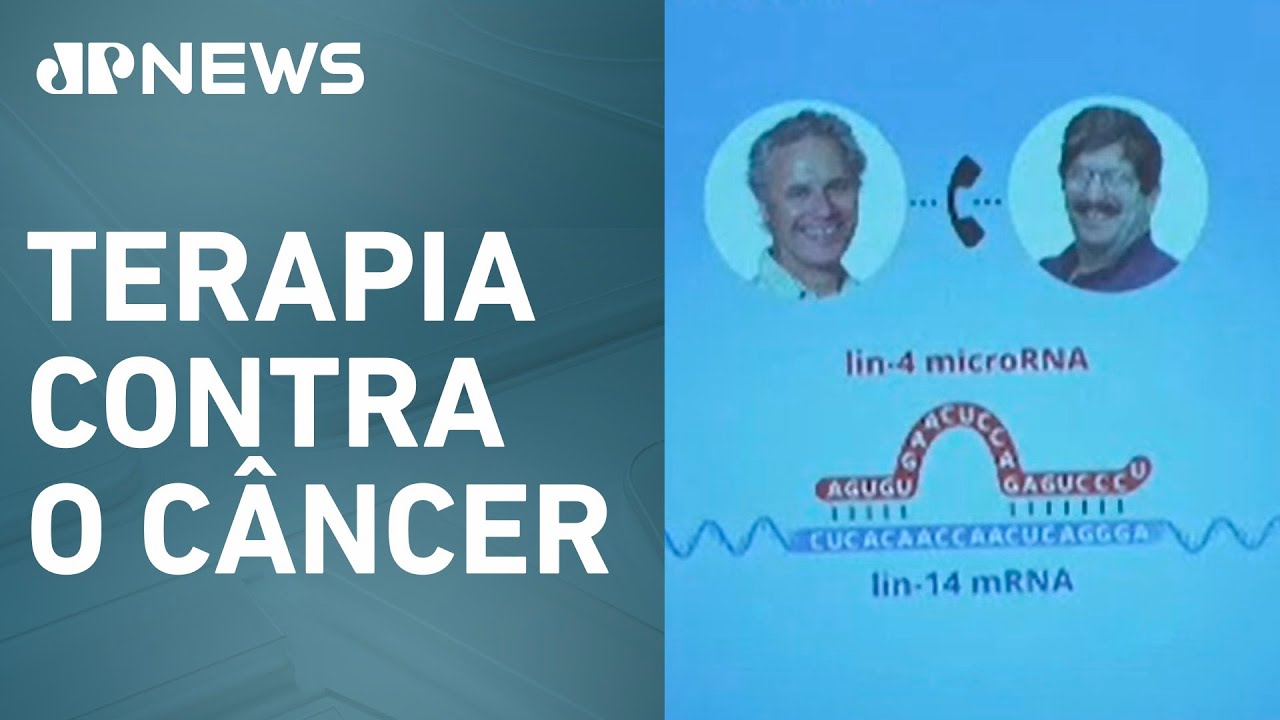 Nobel de Medicina de 2024 vai para Victor Ambros e Gary Ruvkun