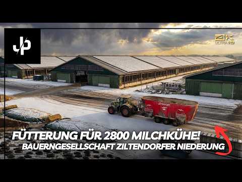 So läuft die Fütterung bei 2.800 Kühen ab! 🇩🇪  || JP Agrar Doku