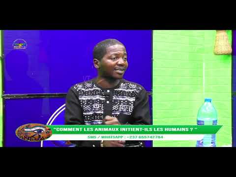 OUDJAT : Comment les animaux initient-ils les humains ?