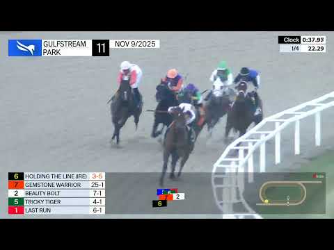 Gulfstream Park November 9, 2025 Race 11