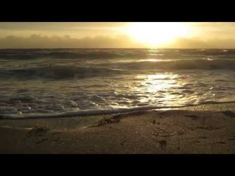 Thumbnail for Oh The Blood video