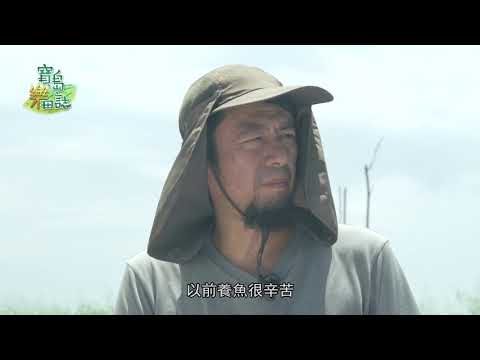 寶島樂田誌 第二十五集 台南虱目魚