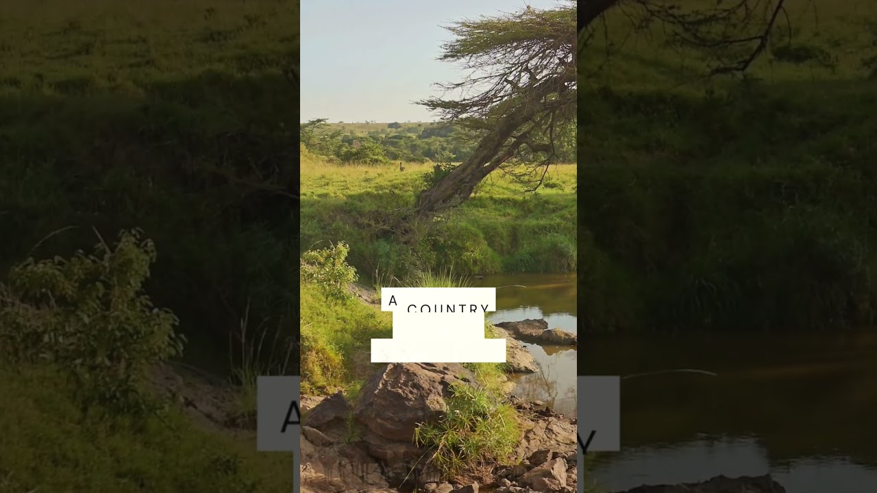 Travel to Africa #travel #lifeisbutadream #traveltoafrica #travelugc