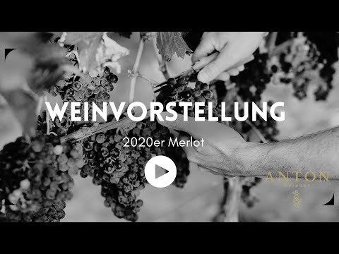 Weinvorstellung 2020er Merlot