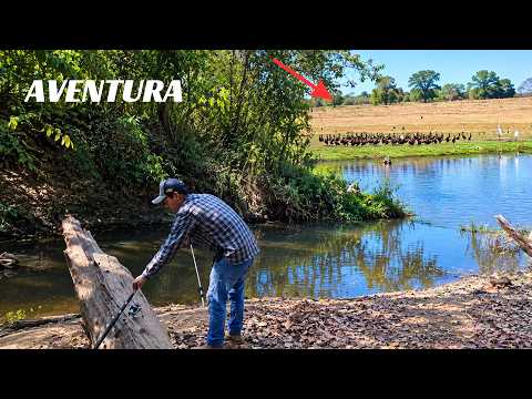 Aventurando e Pescando no Grotão Água Limpa em Canarana Mato Grosso