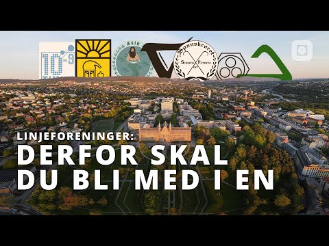 Hvorfor bli med i en linjeforening