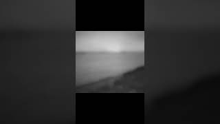 Johnny Cash  - The beast in me