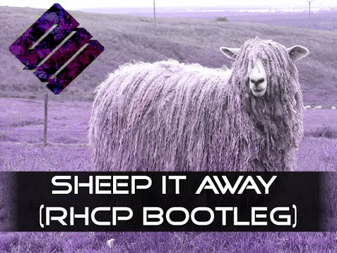 Q.II - Sheep It Away (RHCP Bootleg)