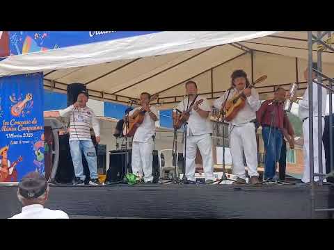 Concurso de música campesina en villarrica tolima 