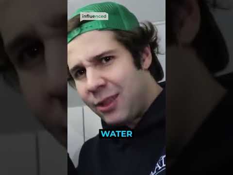 Is This David Dobrik's FINAL Mistake?!