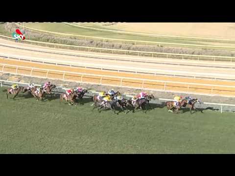 William Pike storms through with Elite Belle | 2014 Railway Stakes