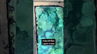 A snapshot of one day onboard @BlueLagoonCruisesFiji #travel #invited #cruiselife #coral #music