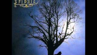 Forgotten Daylight - Winternight