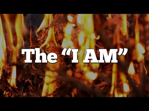 Top 10 Reasons Jesus is God: #7 - The I AM