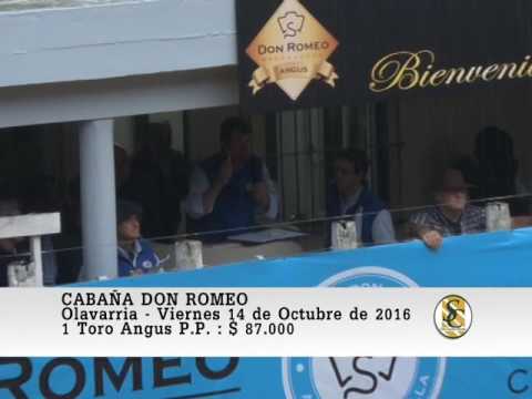 14-10-16  - Venta de Toros - Cabaña Don romeo - Olavarria