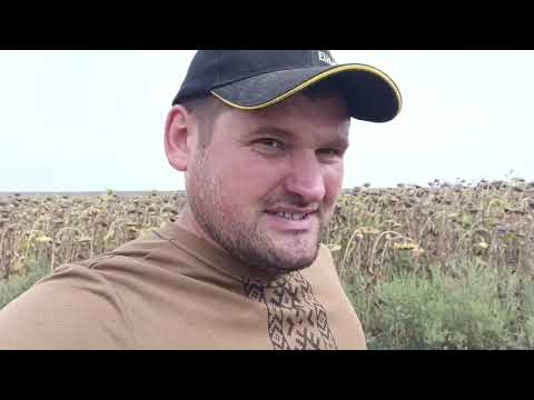 Соняшникова жниварка СХ6 Велес-Агро в строю, молотимо 🌻 Karvi KC 354 IMI під євролайтинг, 25 на круг