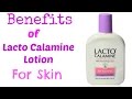 Skin Care Benefits Of Lacto Calamine Lotion Top 5 Skin Care With Lacto Calamine Lotion